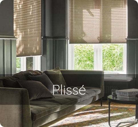 plisse